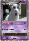 zomg cat!