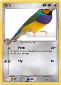 Bird
