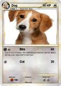Dog