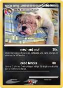 spca omg