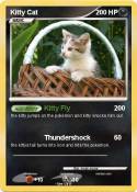 Kitty Cat