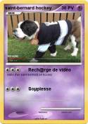 saint-bernard