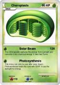 Choroplasts