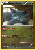 Jasper (Kitten)