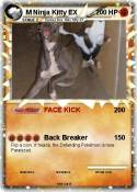 M Ninja Kitty