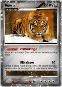 Tigre