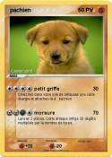 pachien