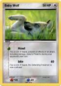 Baby Wolf