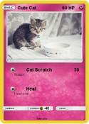 Cute Cat
