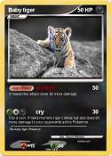 Baby tiger