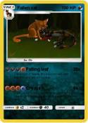 Fallen cat