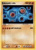Eukaryotic cell