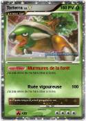 Torterra
