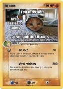 lol cats