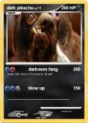 dark pikachu