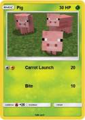 Pig