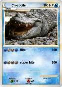 Crocodile