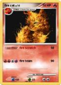fire cat