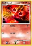 fire kitten