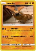 deer dog