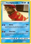 Fire FIghter