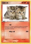 cute cat