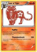 Year of Tiger