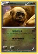 monkey