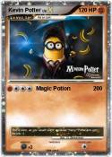 Kevin Potter