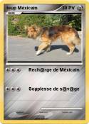 loup Méxicain