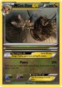 Cat Duo
