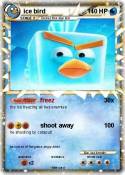 ice bird