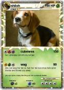 shiloh
