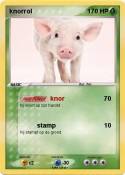 knorrol