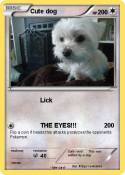 Cute dog