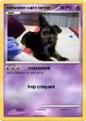 rottweiler-cairn