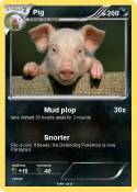 Pig