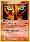 fire cat