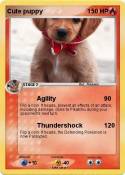 Cute puppy