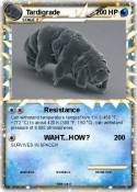 Tardigrade