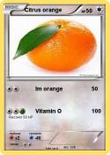 Citrus orange