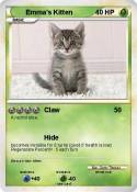 Emma's Kitten