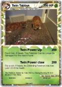 Twin Tabbys