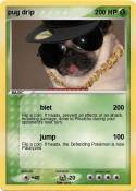 pug drip