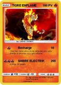 TIGRE ENFLAME