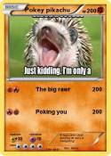 Pokey pikachu