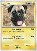 pug