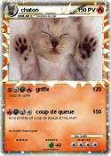 chaton