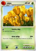 tulips
