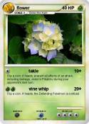 flower